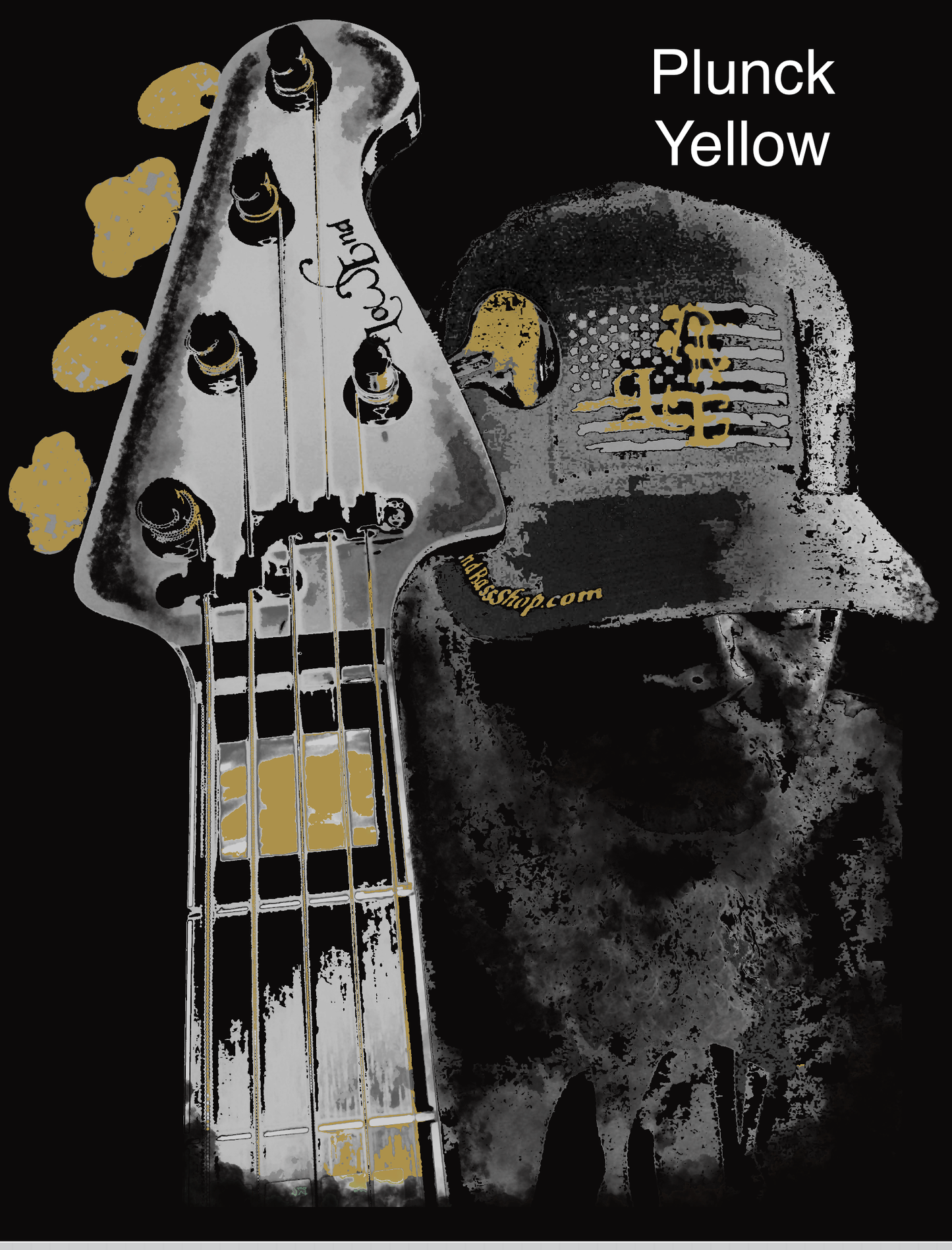LowEnd Bass Players Series