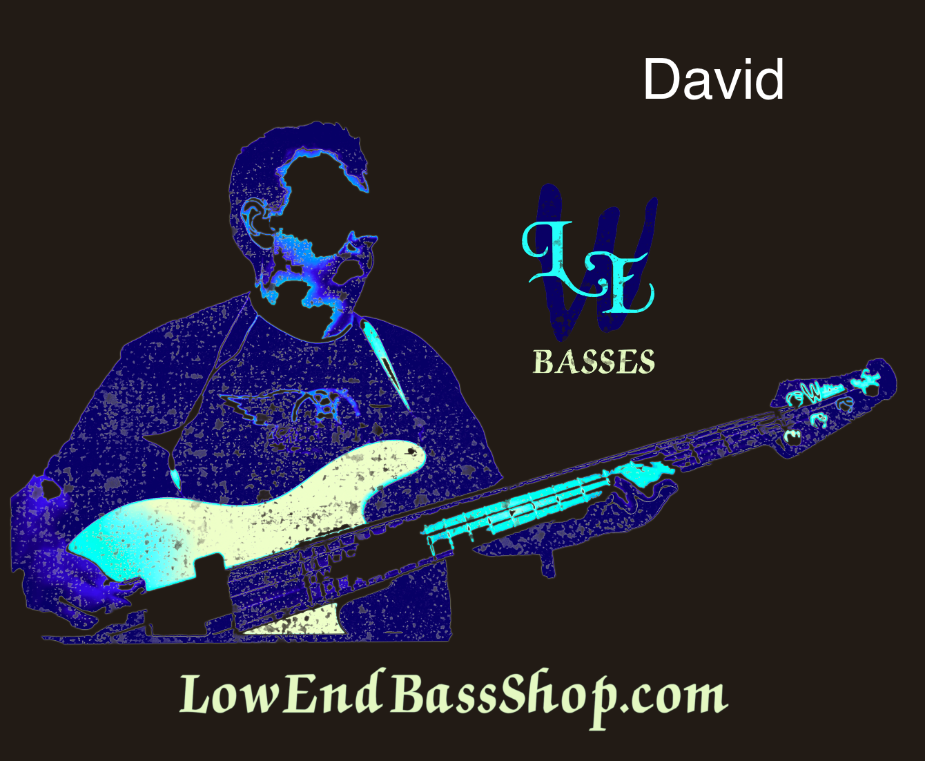 LowEnd Bass Players Series